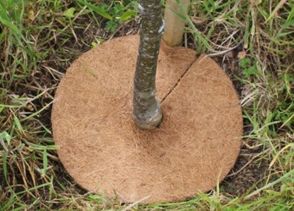 Träd Busk disk för marktäckning i Cocos 45cm diam pris/10st/paket