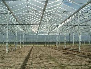 Glasväxthus venlo begagnat genomgånget 5370 m²
