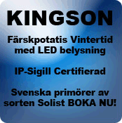 http://www.kingson.se/