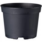Blomkruka Desch DPY 9 till 14cm 