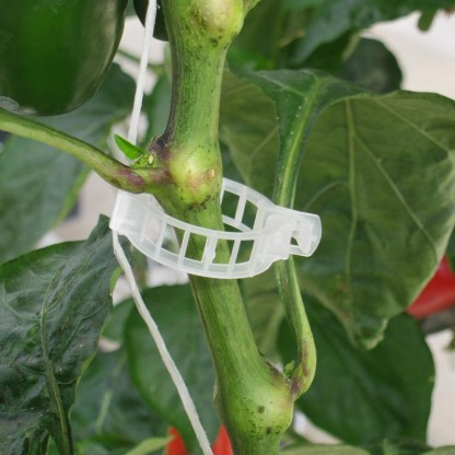 Upphängnings clips för tomat och gurkplantor Ø23 mm 10.000 st/kartong