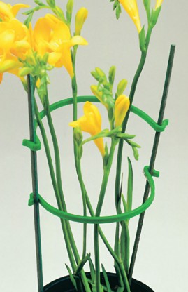 Växtklämmor storlek 8,5cm