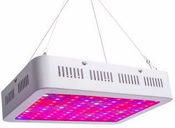 LED växtbelysning hydroponic fullspektrum 100W