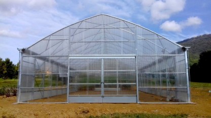 Växthus SCANDI®Tunnelart PV, bredd 9,6m och längd 50m, 480 m²