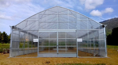 V&auml;xthus SCANDI MultiArt640 bredd 6,4m och l&auml;ngd 21m, 134,40 m&sup2;