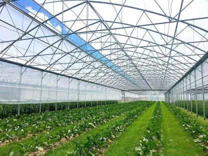V&auml;xthus SCANDI MultiArt640 bredd 6,4m och l&auml;ngd 20m, 128m&sup2;