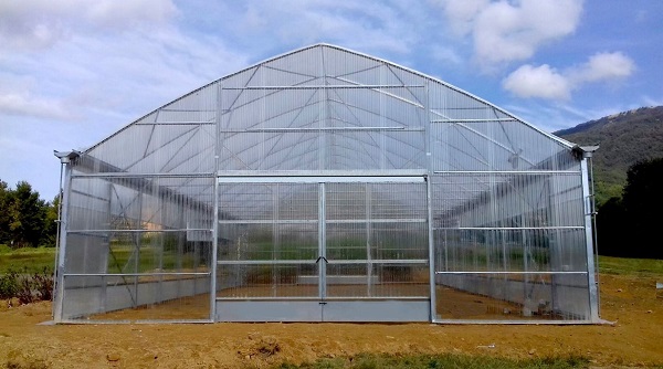 Växthus SCANDI®Tunnelart PV, bredd 6,4m och längd 40m taknock höjd 4,1m 256m²