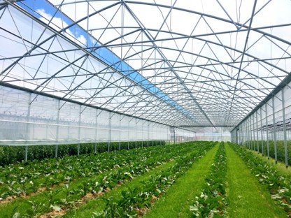 V&Auml;XTHUS SCANDI&reg; Tunnelart PV Dubbel uppbl&aring;st lager, bredd 9,6m, l&auml;ngd 30m och b&aring;gavst&aring;nd 2m, 288 m&sup2;
