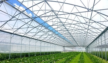 Växthus SCANDI®Tunnelart PV, bredd 9,60m och längd 14m, 134,40m²