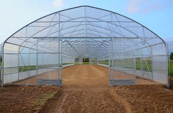 V&auml;xthus SCANDI&reg;Tunnelart PV, bredd 6,4m och l&auml;ngd 50m, 320m&sup2;