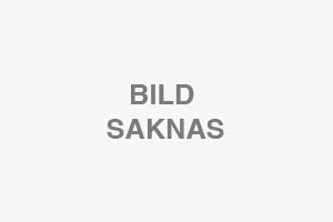 Automatisk t&auml;ndningssystem f&ouml;r pelletsbr&auml;nnare f&ouml;r GDP70AVI