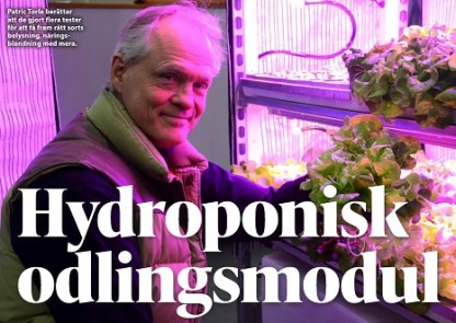 Läs Viola reportage av Patric Torle