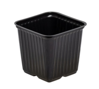 Fyrkantskruka 7,5cm svart 2400 st/kart