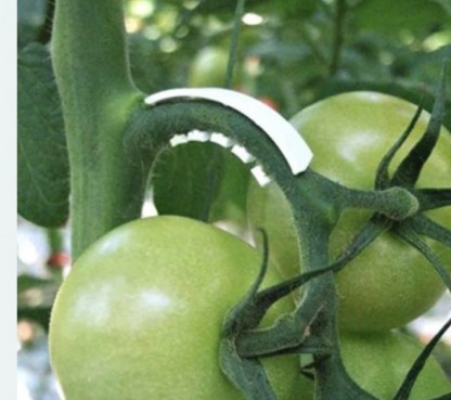 Flex Klasstöd / tomatstöd 16.000/kartong. VIT