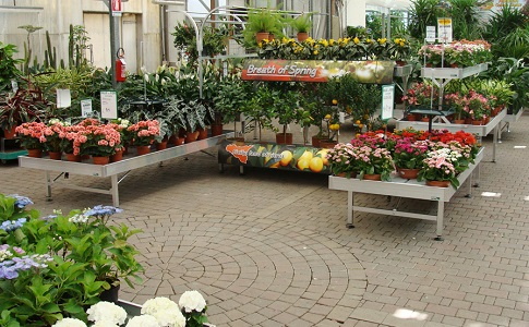 Växthusbord Butiksbord tillverkning specifika mått