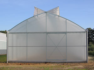 Växthus SCANDI® 800