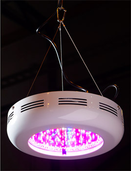 LED-TRG Växtbelysning 90W 220V Blå 100% inkl upphängning