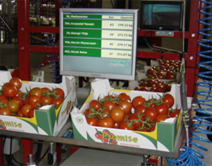 Monitor P-Plus Hortimax