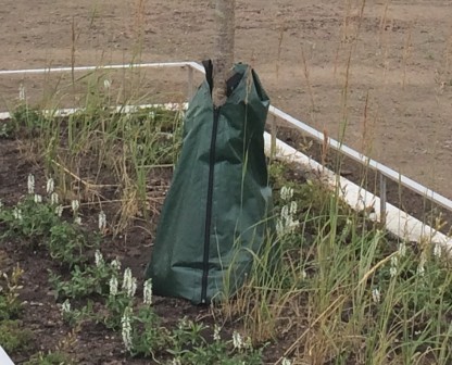 Bevattningspåse TRG Drip Bag för nyplanterade träd & buskar