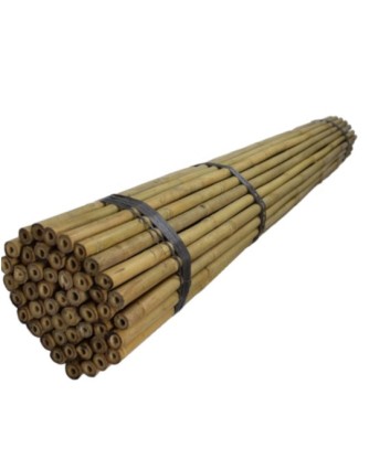 Bambu pinnar Natur 305cm Ø20/22 ( 100 styck bunt)