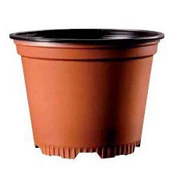 Kruka Penta 8º Ø10,6-12cm