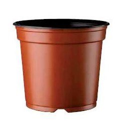 Containerkruka Desch 5º Ø11-15cm