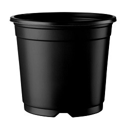 Containerkruka Desch 5º Ø13-19cm