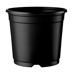 Container kruka Zed 5° Ø13-23cm
