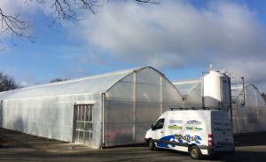 Växthus SCANDI Bågväxthus bock 9,6m 288m²