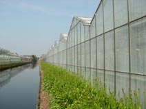 V&auml;xthus som sprutats med ReduHeat